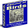 Thumbnail Alphabet of Birds Ebook - MASTER RESELL RIGHTS