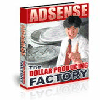 Thumbnail *NEW* - Adsense : The Dollar Producing Factory - MASTER RESALE RIGHTS